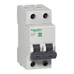 BREAKER RIELDIN 2 POLOS 20 AMP SCHNEIDER