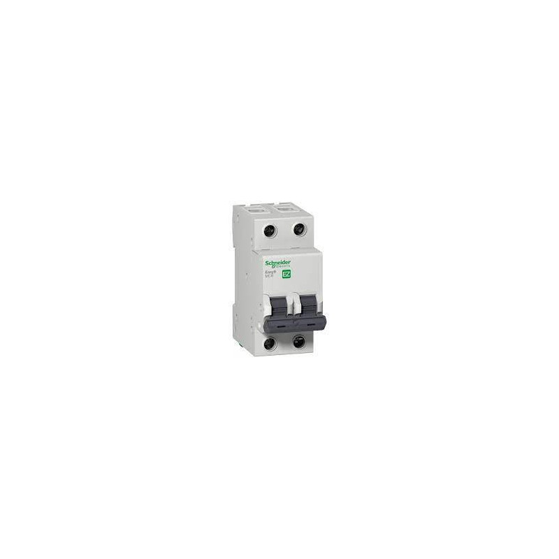 BREAKER RIELDIN 2 POLOS 20 AMP SCHNEIDER