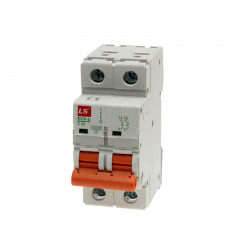 BREAKER RIELDIN 2 POLOS 20 AMP LS